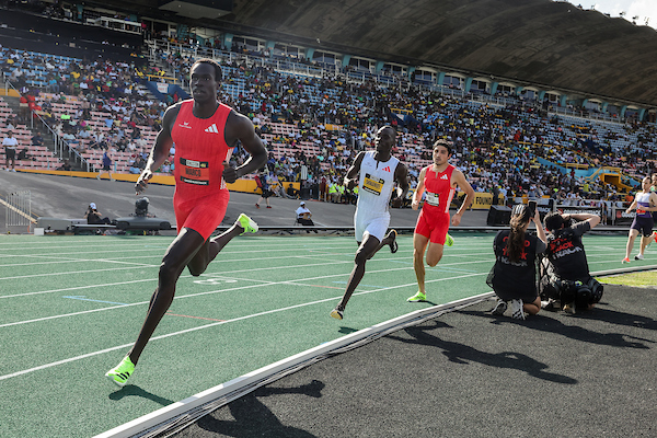 Arop_Marco-800-w-Kingston25.jpg